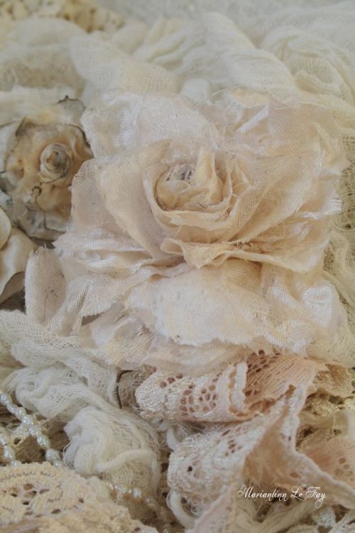 1017685_10151520120517960_443087573_n